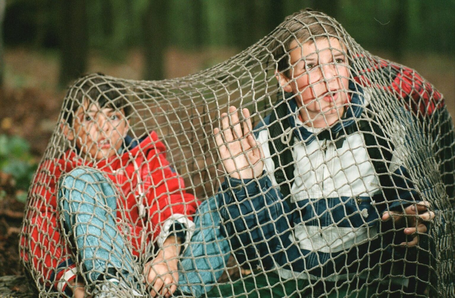 prg3169700_951212893_full